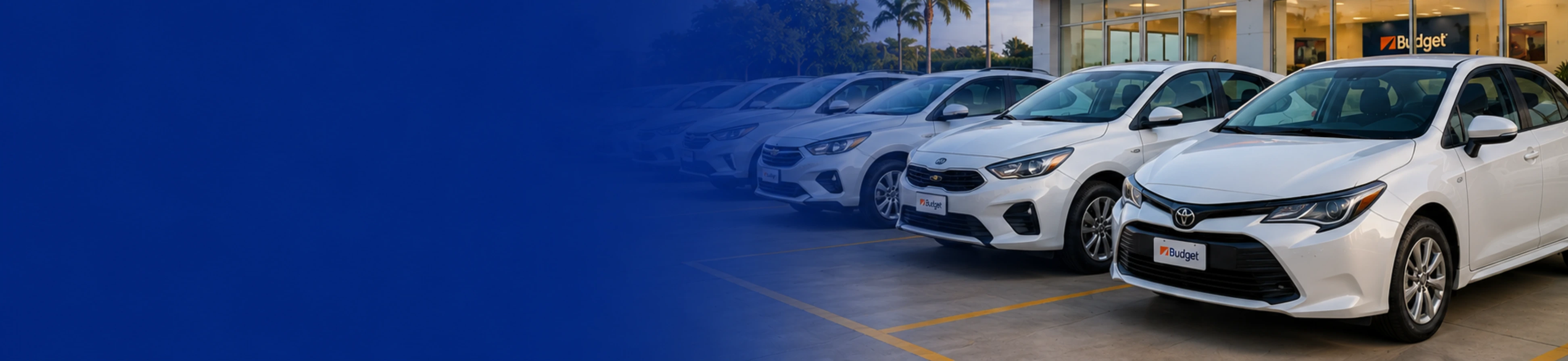 Flota de autos Payless México en estacionamiento